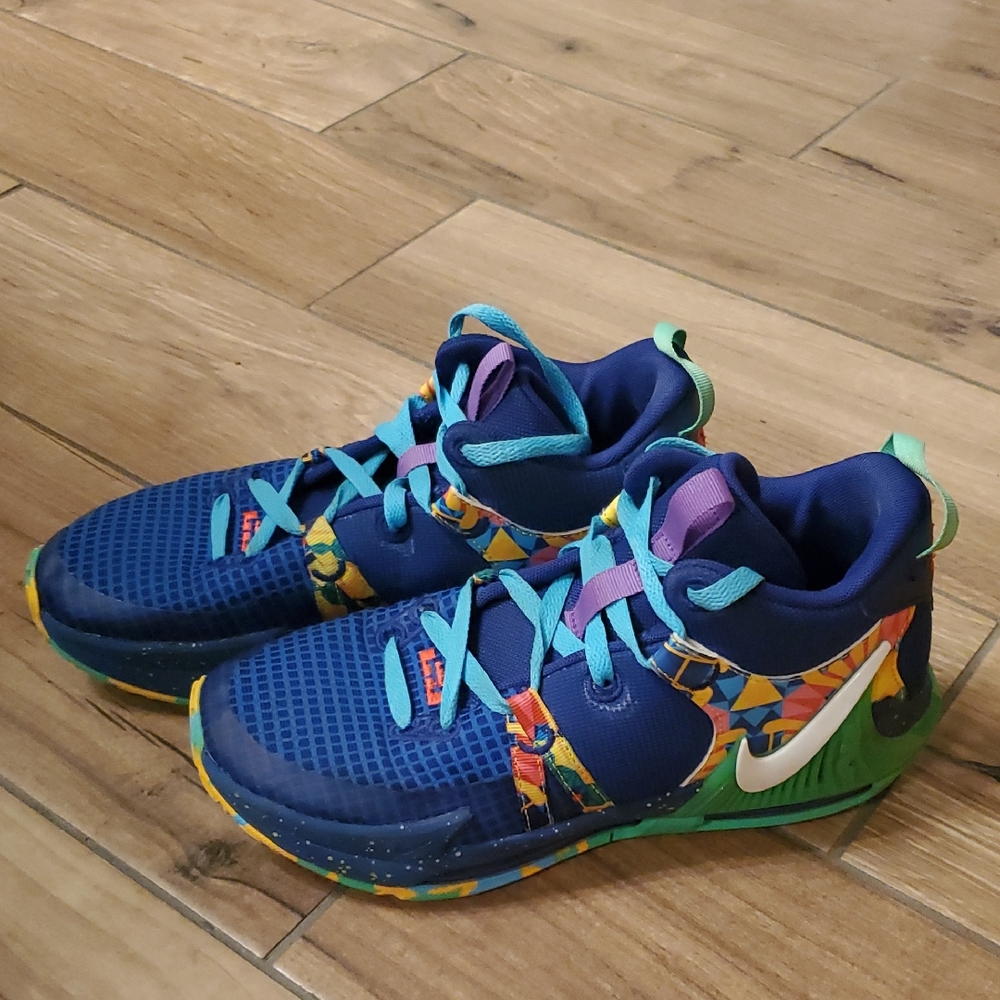 Nike LeBron James Sneakers